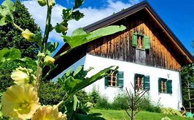 Estate Ana